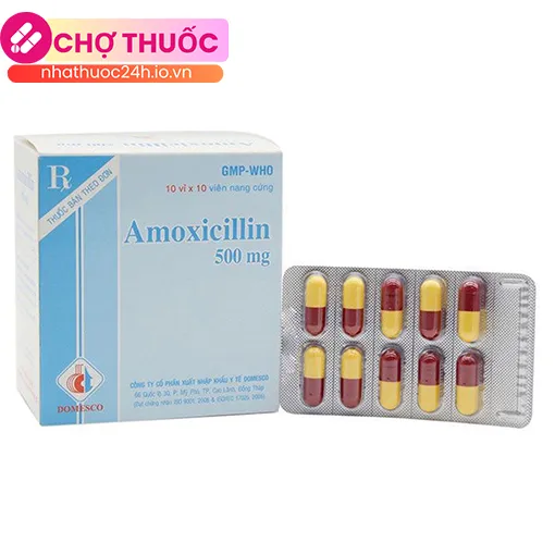 Amoxicillin 500mg Domesco (nâu - vàng)