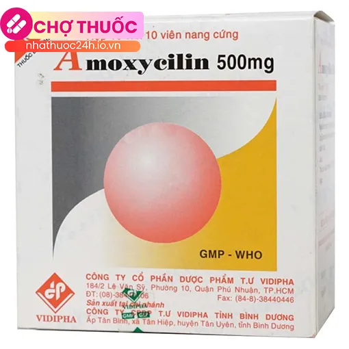 Amoxycilin 500mg Vidipha