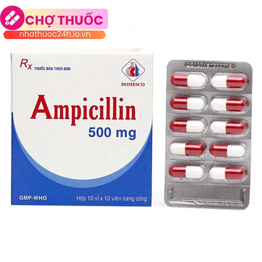 Ampicillin 500mg Domesco