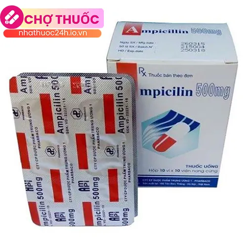 Ampicillin 500mg Pharbaco