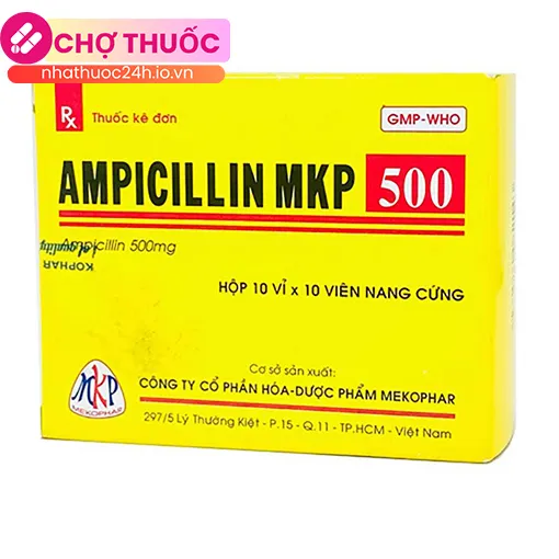 Ampicillin MKP 500