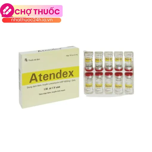 Atendex 600mg/2ml