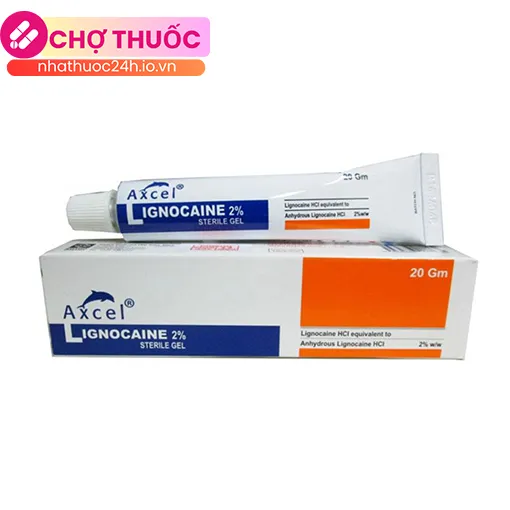 Axcel Lignocaine 2% Sterile Gel