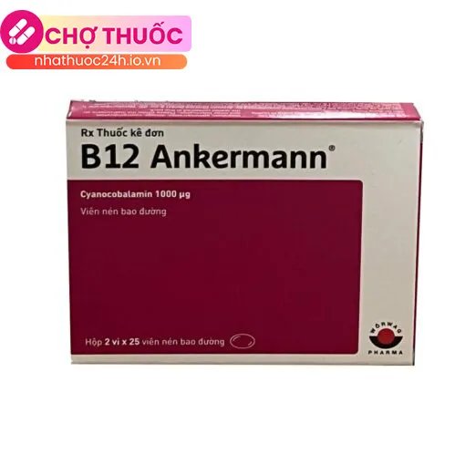 B12 Ankermann