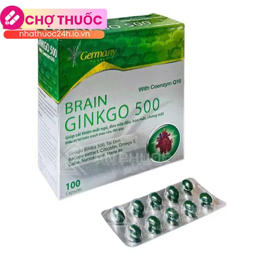 Brain Ginkgo 500