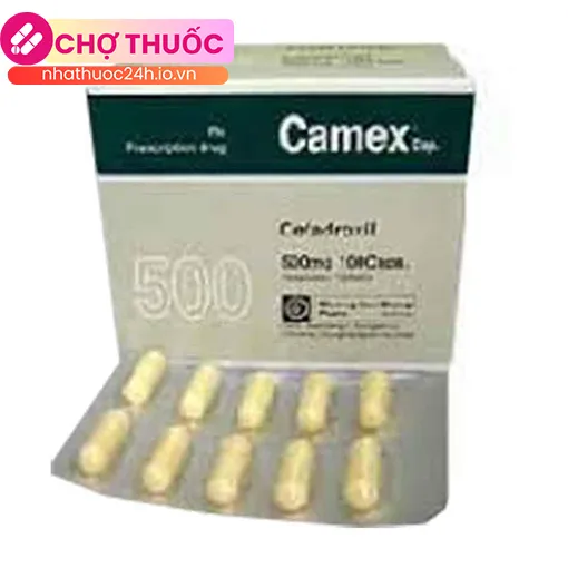 Camex 500mg