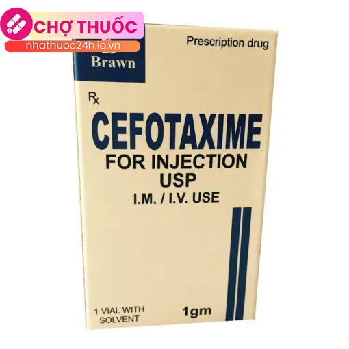 Cefotaxime For Injection USP Brawn