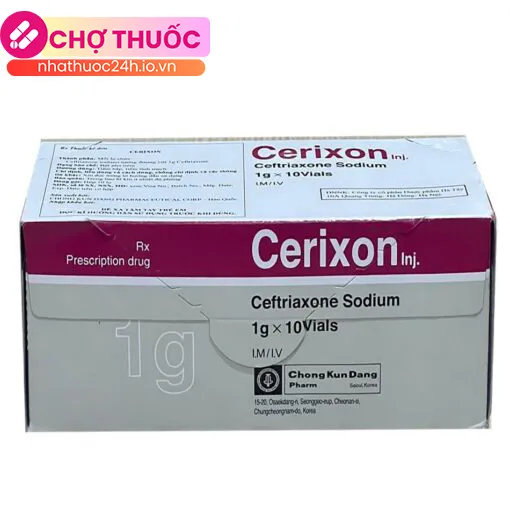 Cerixon Inj 1g