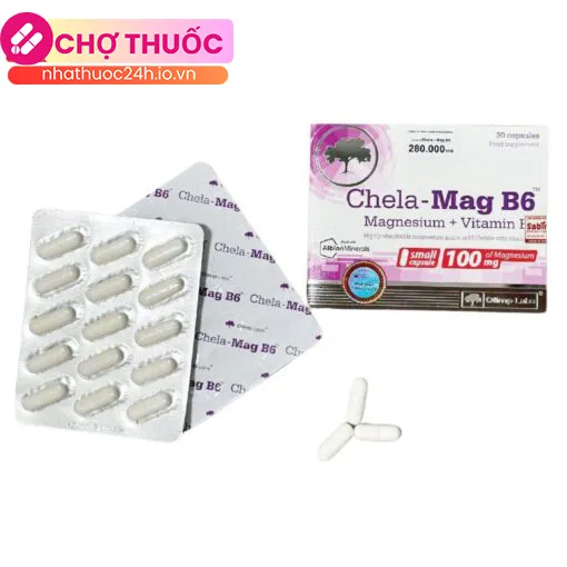Chela-Mag B6