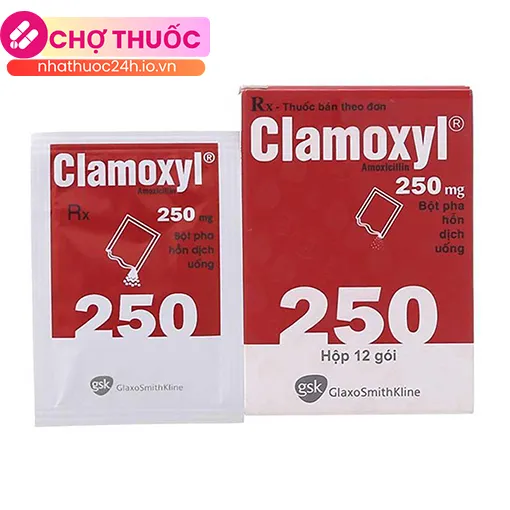 Clamoxyl 250mg