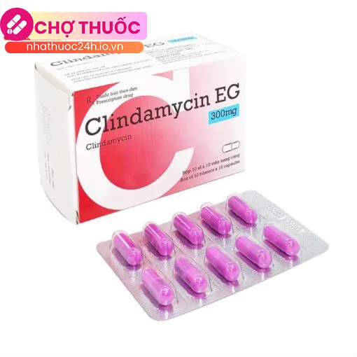 Clindamycin EG 300mg