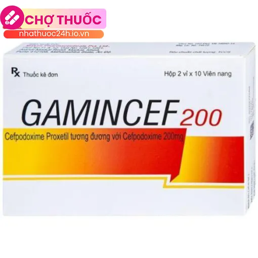Gamincef 200