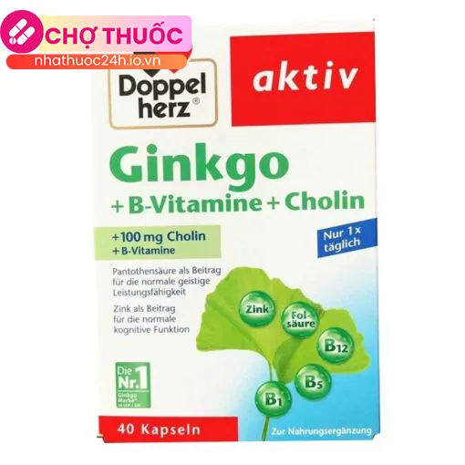 Ginkgo + B-Vitamine + Choline Doppelherz