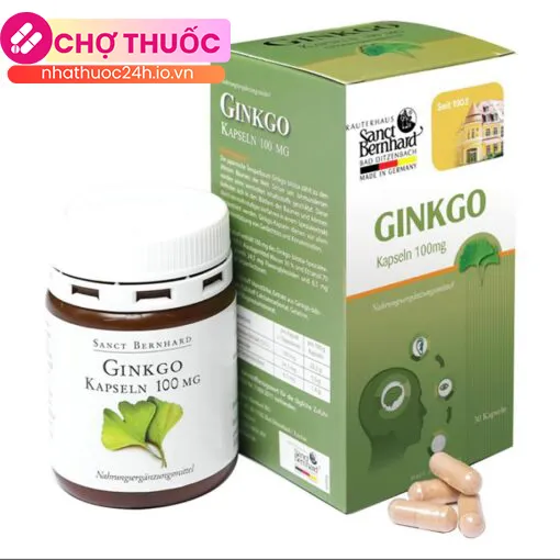 Ginkgo Kapseln 100mg