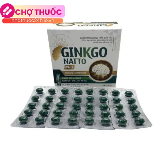 Ginkgo Natto Plus Vinaphar