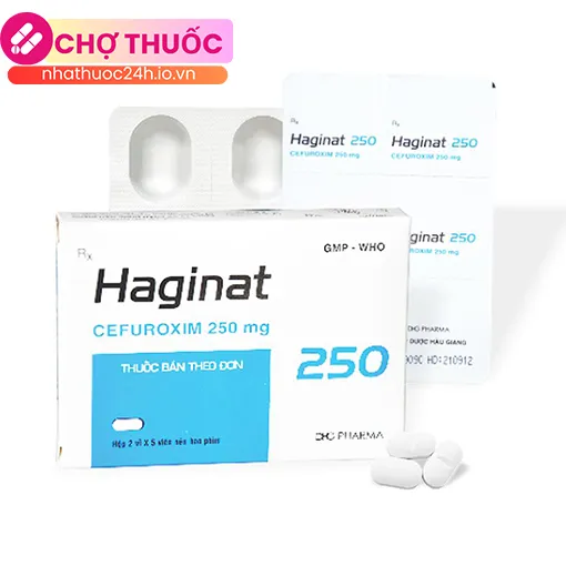 Haginat 250