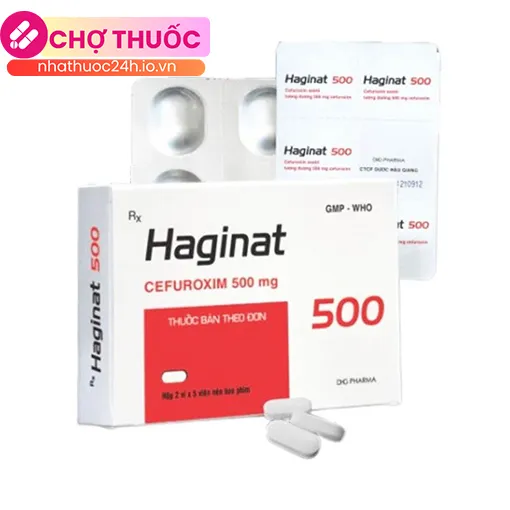 Haginat 500
