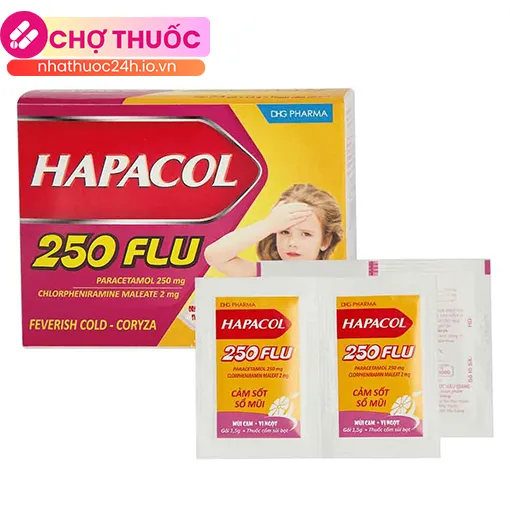 Hapacol 250 Flu