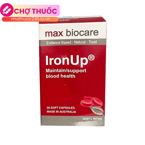 Iron Up max biocare