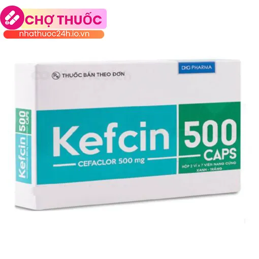 Kefcin 500 Caps