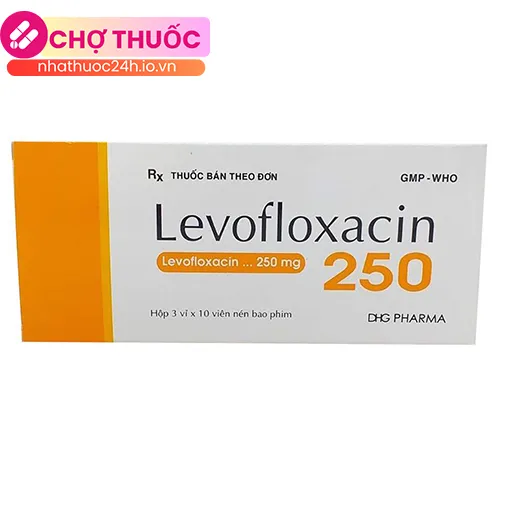 Levofloxacin 250 DHG
