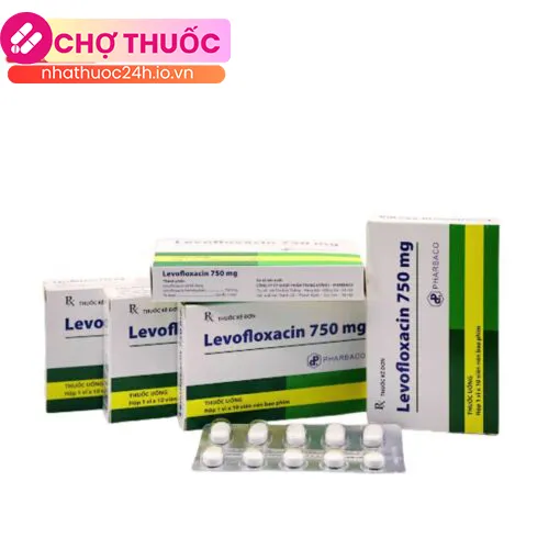 Levofloxacin 750 Pharbaco