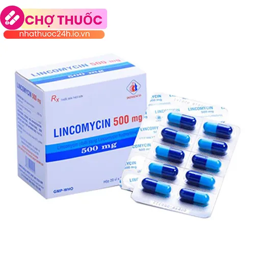 Lincomycin 500mg Domesco
