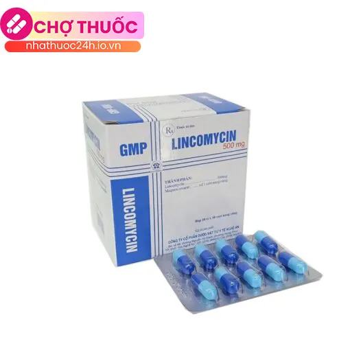Lincomycin 500mg Nghệ An