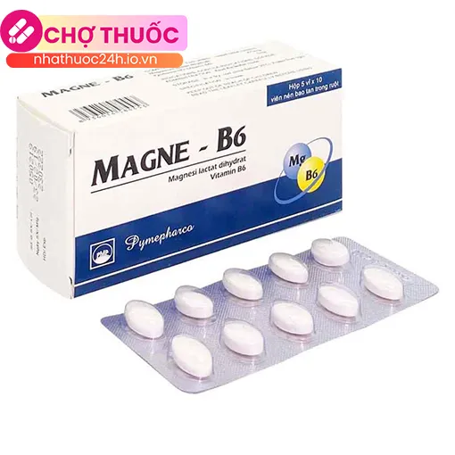 Magne - B6 Pymepharco