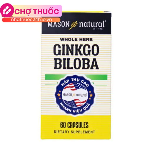 Mason Natural Ginkgo Biloba