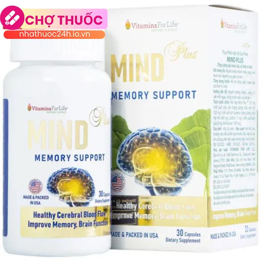 Mind Plus