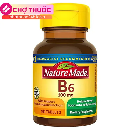 Nature Made B6 100mg