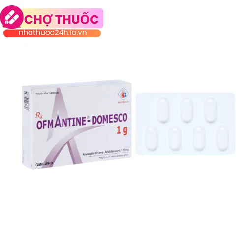 Ofmantine – Domesco 1g