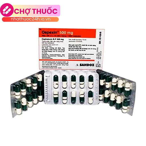 Ospexin 500mg