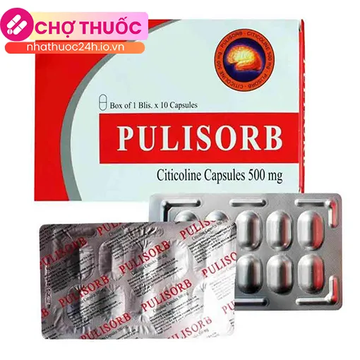 Pulisorb