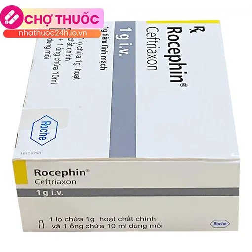 Rocephin 1g I.V