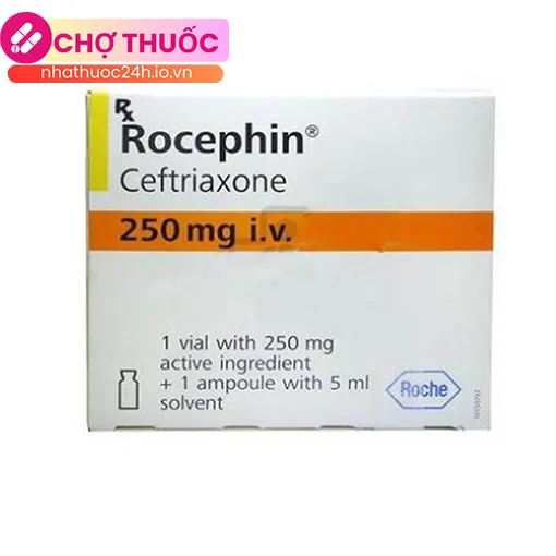 Rocephin 250mg i.v