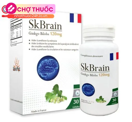 SKBrain Ginkgo Biloba 120mg