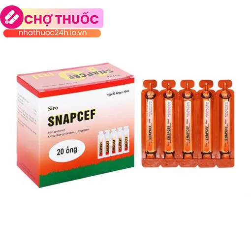 Snapcef (Hộp 20 ống)