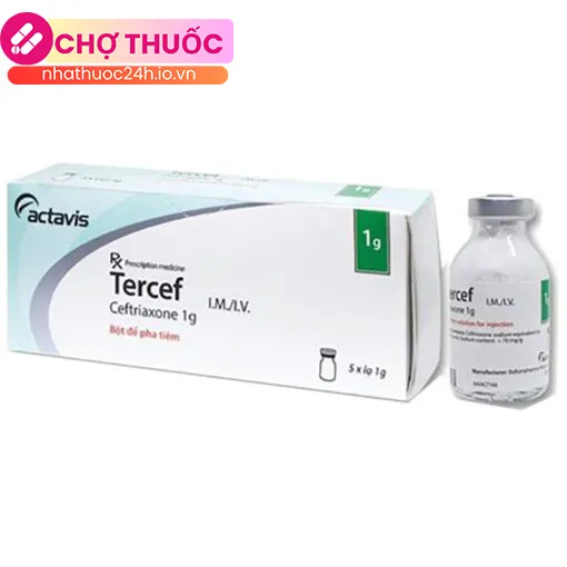 Tercef 1g