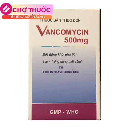 Vancomycin 500mg Bidiphar (Hộp 1 ống)