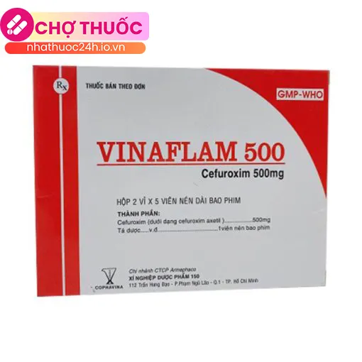 Vinaflam 500