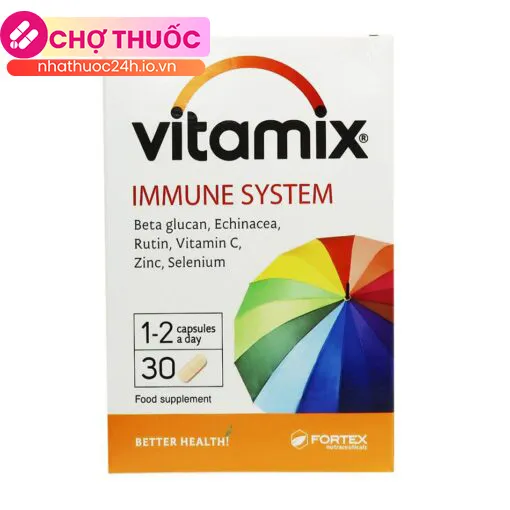 Vitamix Immune System