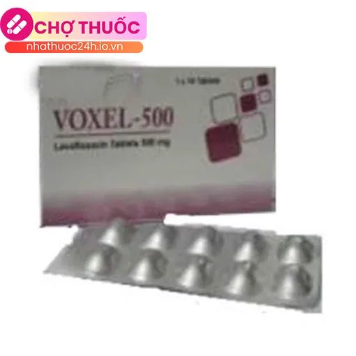 Voxel-500