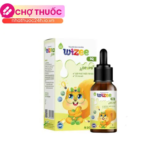 Wizee IQ