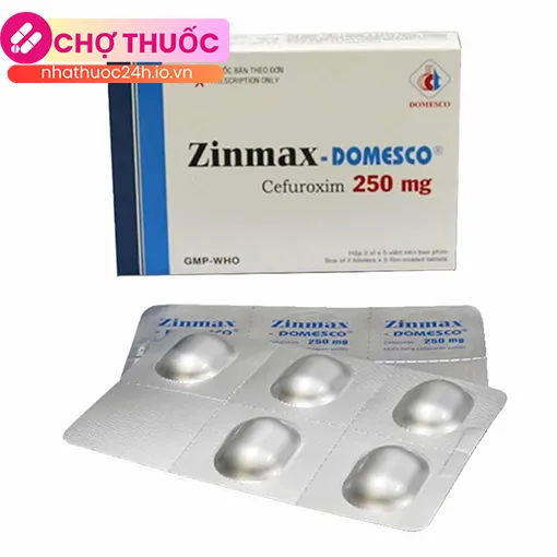 Zinmax - Domesco 250mg